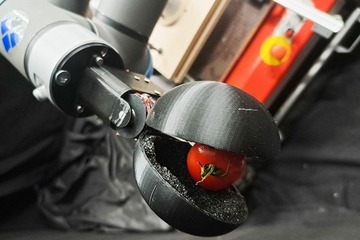 ChatGPT発案のトマト収穫ロボット…AIと人が共同開発 画像
