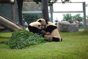 行ってよかった動物園＆水族館ランキング…旅行サイトのクチコミを集計 画像