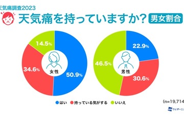 天気痛、7割が雨や曇りの日に発症…最多は徳島県 画像