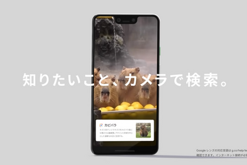 Googleレンズ、肌の状態を「検索」可能に…表現が難しい症状も 画像
