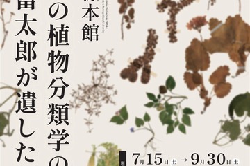 NHK「らんまん」モデル、牧野富太郎の植物標本展示…都立大 画像