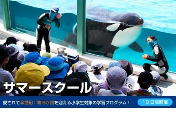 【夏休み2023】小学生向けサマースクール…鴨川シーワールド 画像