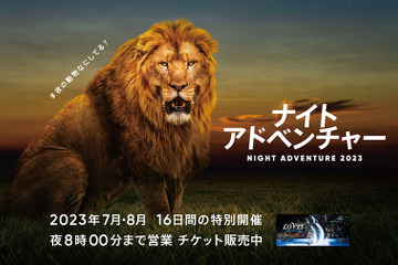 【夏休み2023】アドベンチャーワールド「NIGHT ADVENTURE2023」7-8月 画像