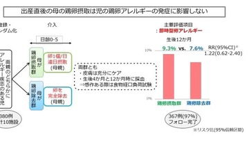 卵アレルギー、産後すぐの母親の卵摂取に関係なし 画像