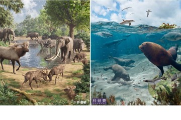 【夏休み2023】千葉県立中央博物館、チバニアン期の古生物展9/18まで 画像