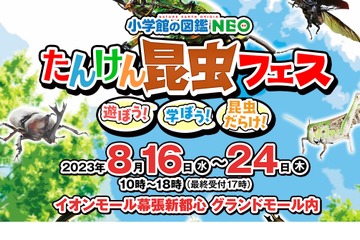 【夏休み2023】学習体験「たんけん昆虫フェス」8/16-24 画像