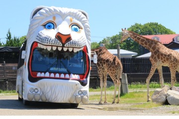 都民の日を記念「ライオンバス無料」那須サファリ10月 画像