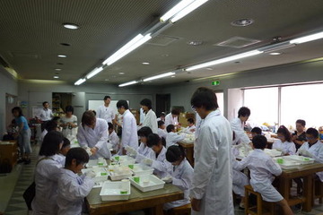 八王子市、小中学生対象イベントを夏休み中毎日開催 画像