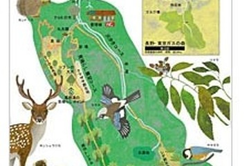 東京ガスが秋の体験型環境スクールを開催、森の生きものを大調査10/20 画像