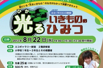 光る生きもののひみつに迫る、JEEFが小学生対象のエコ・サイエンス教室を開催 画像