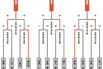 【高校野球】大会10日目の日程が終了、大阪桐蔭が3本塁打で春夏制覇に前進 画像