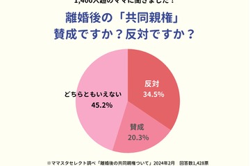 離婚後の共同親権、母親「賛成」2割にとどまる 画像