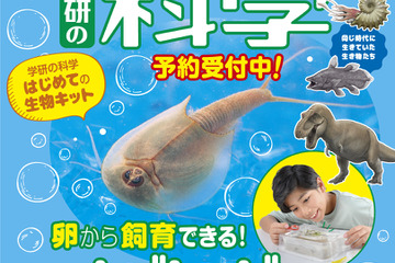 学研の科学、体験キット「古代生物カブトエビの世界」 画像
