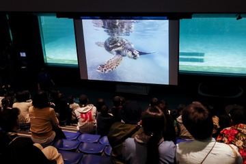 鴨川シーワールド「飼育の日＆科学技術週間」特別イベント 画像