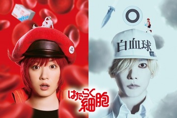 実写映画「はたらく細胞」全国公開12月…超特報も 画像