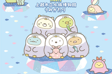 上越市立水族博物館、すみっコぐらしと「うみがたり」 画像