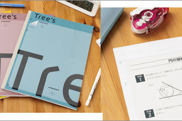 中高生向け「Tree'sプラスメモリ罫A4サイズノート」発売 画像