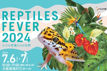 爬虫類の祭典「レプタイルズフィーバー」大阪7/6-7 画像
