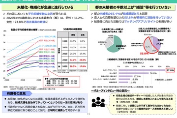 東京「少子化対策の論点整理」都民1万人超の調査結果を反映 画像