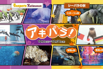 ハロウィンや秋イベント「アキパラ」八景島シーパラ10月 画像