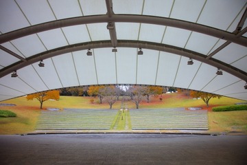 【大学受験2026】関関同立近…数万人規模の「学園祭」5選 画像