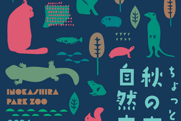 井の頭自然文化園、時間延長「秋の夜長」イベント11/9-10 画像