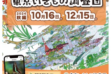 アプリでいきもの探し「東京いきもの調査団・秋編」12/15まで 画像