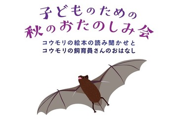 コウモリの絵本読み聞かせ＆飼育員の話…国際子ども図書館11/17 画像