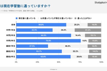 通塾形態…中学生は集団指導、高校生は「個別指導」が最多 画像