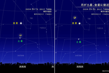 月と土星・金星が接近…2025年2月上旬 画像