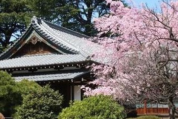 重要文化財「旧久邇宮邸」聖心女子大で一般公開3月 画像