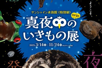 サンシャイン水族館、真夜中の生き物展 画像