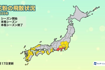 1都19県で花粉シーズン入り…西日本で過去最多予想 画像