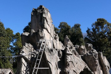上野動物園「さよならサル山」イベント…92年の歴史に幕 画像