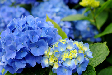 【中学受験】今週末行ける中高一貫「学校見学」8校（6/7-8） 画像