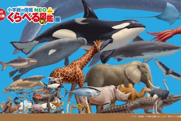小学館「くらべる図鑑」が実物大に…神戸で夏の特別展 画像