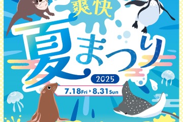 【夏休み2025】サンシャイン水族館「爽快夏まつり」猛暑日は水量増 画像