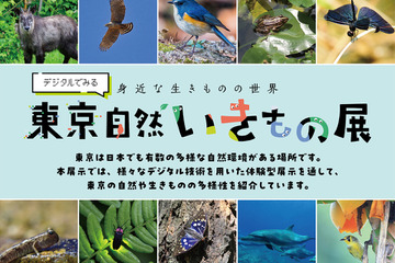 【夏休み2025】デジタルでみる東京自然いきもの展8/2より 画像