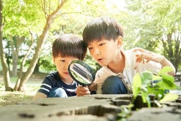 【夏休み2025】小中学生の自由研究テーマ紹介…明光プラス 画像