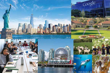 憧れで終わらせない、海外留学・進学に向けた