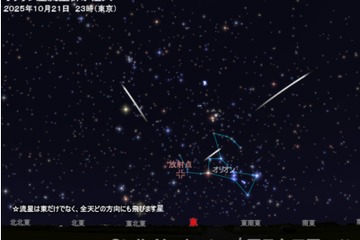 オリオン座流星群10/21深夜から見ごろ、前後数日が観測チャンス 画像