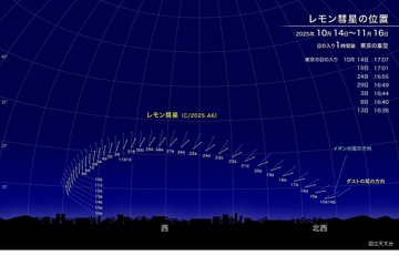 新発見のレモン彗星、10月下旬が観察好期…次回接近は1100年後 画像