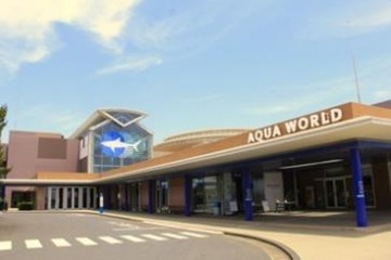 JR東日本、親子向け「アクアワールド・大洗の旅」第2弾2/14 画像