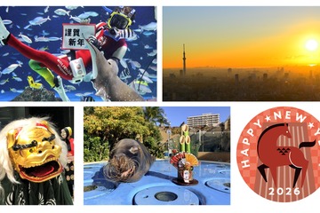 【年末年始】元旦は初日の出、獅子舞も登場…サンシャインシティのお正月 画像