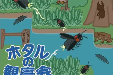 東京・練馬で「ホタルの観察会」6-7月…展示や体験も 画像