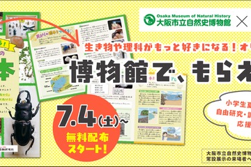 【自由研究2026】植物・貝がら・昆虫の標本づくり冊子を無料配布…大阪市立自然史博物館 画像