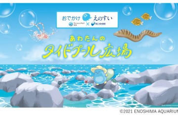 【夏休み2026】新江ノ島水族館がテラスモール湘南へ、海の生き物と学ぶ16日間 画像