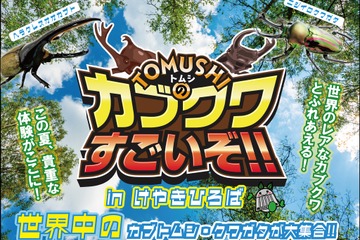 【夏休み2026】世界の人気昆虫が大集合…けやきひろば7/18 画像