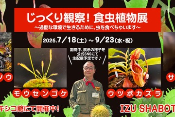 【夏休み2026】伊豆シャボテン動物公園「食虫植物展」7-9月…自由研究にも 画像