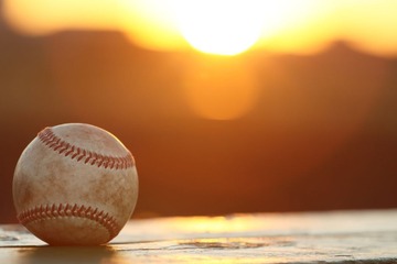 【高校野球2026夏】天理・智辯和歌山・三重・仙台育英が勝利、第12日は霞ケ浦vs横浜 画像